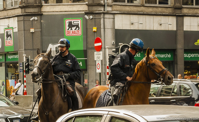 Policia montada en el centro de Bruselas