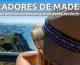 miradores Madeira
